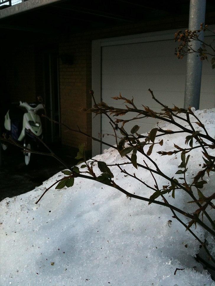 Gilera Stalker  billede 3