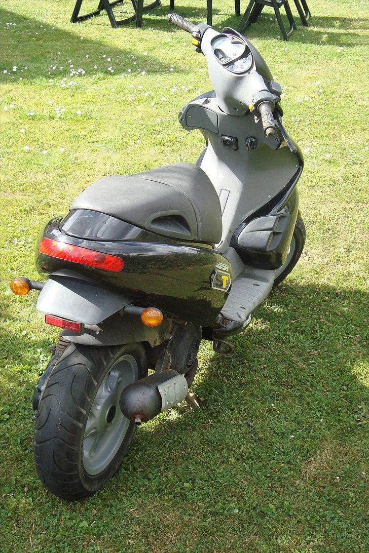 Benelli 491 ST billede 4