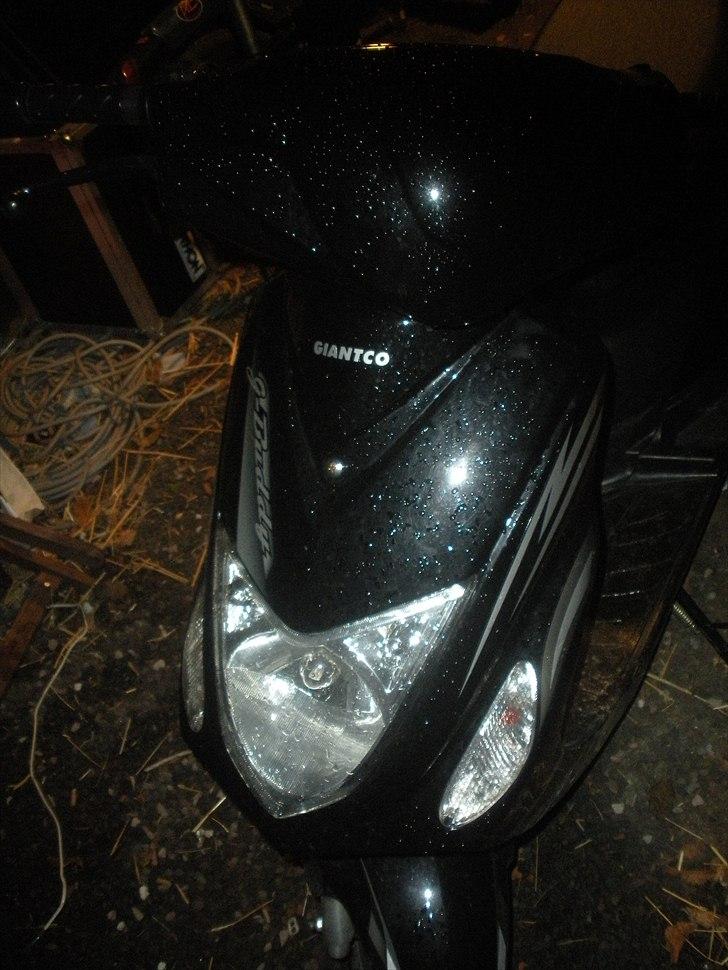 Giantco G-BUDDY billede 3