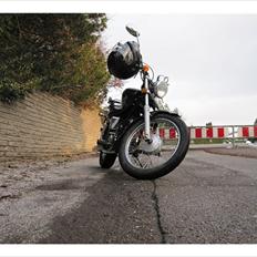 Regal Raptor  TIL SALG!! 