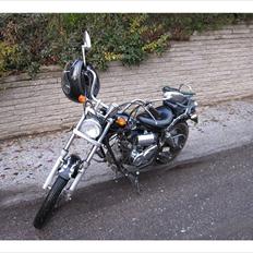 Regal Raptor  TIL SALG!! 