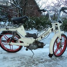 Puch maxi P1L SOLGT