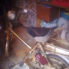 Honda express AKA guld grete! :