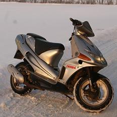 Derbi Predator LC DD (solgt)