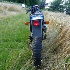 Suzuki SmX
