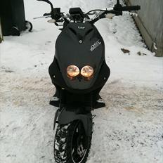 PGO PMX Naked (Carbon)