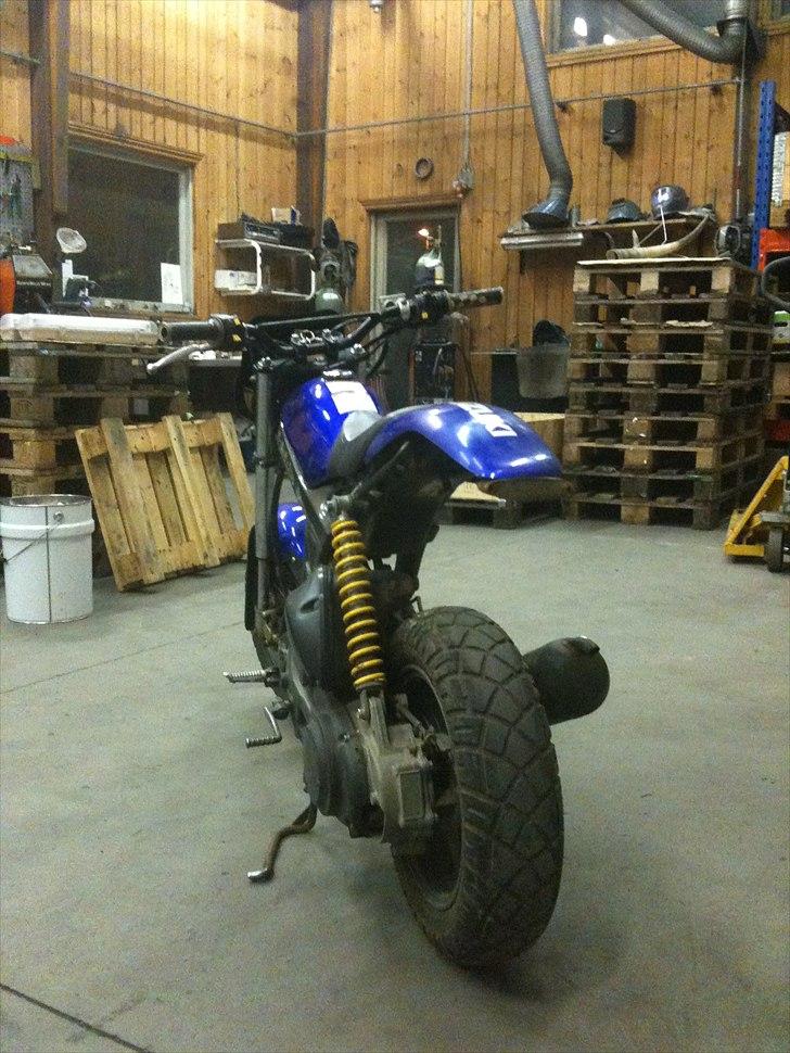 Suzuki Street Magic - Solgt billede 11