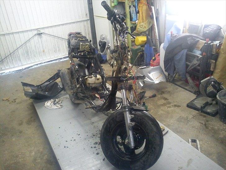 PGO Hot 50 billede 4