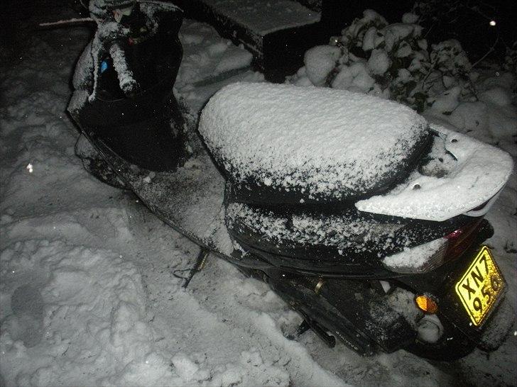 Giantco G-BUDDY billede 13