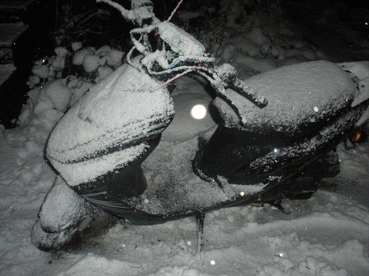 Giantco G-BUDDY billede 14