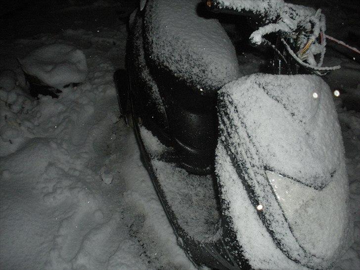 Giantco G-BUDDY billede 15