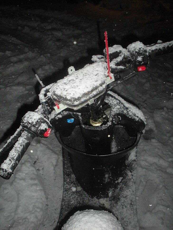 Giantco G-BUDDY billede 16