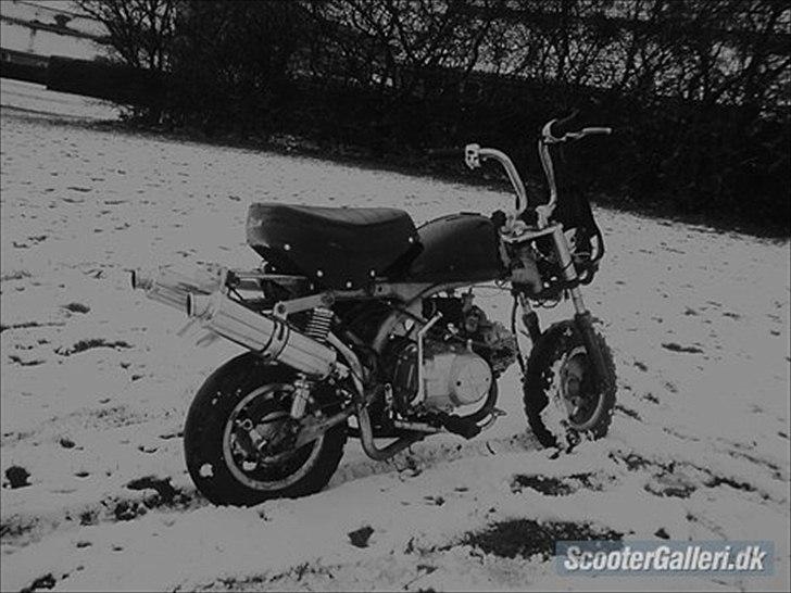 Skyteam monkey  - FØR!! billede 3