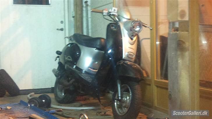 Giantco venus 1 billede 1