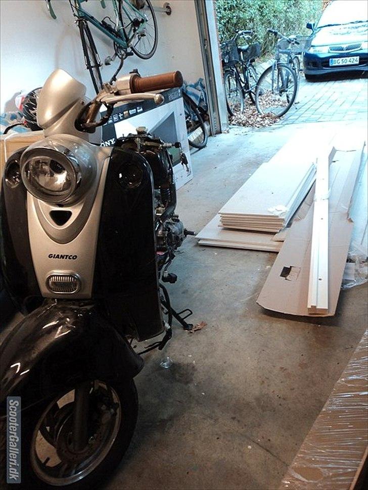 Giantco venus 1 billede 2