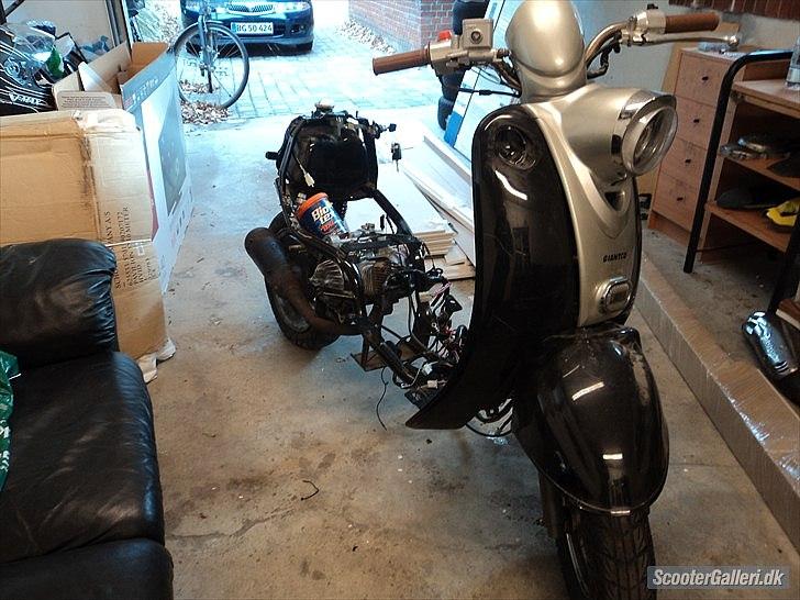 Giantco venus 1 billede 3