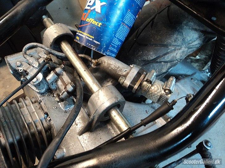 Giantco venus 1 billede 5