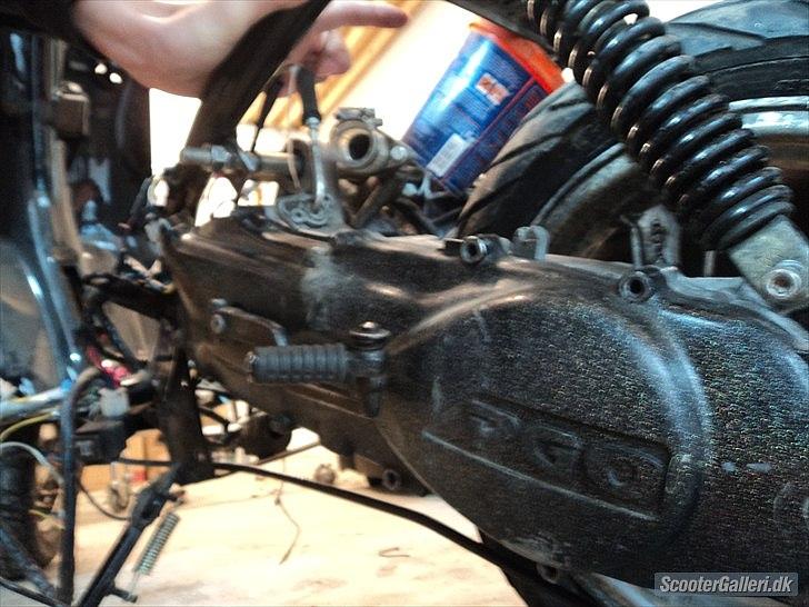 Giantco venus 1 billede 6