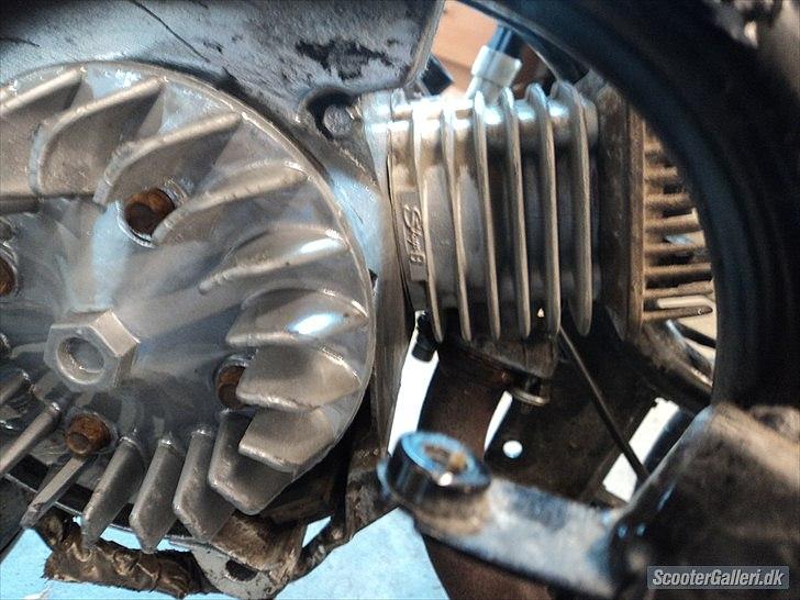 Giantco venus 1 billede 8