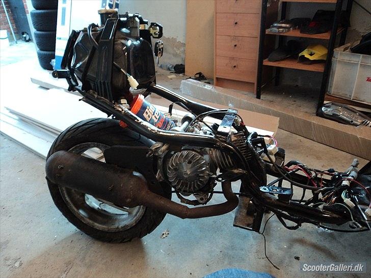 Giantco venus 1 billede 9