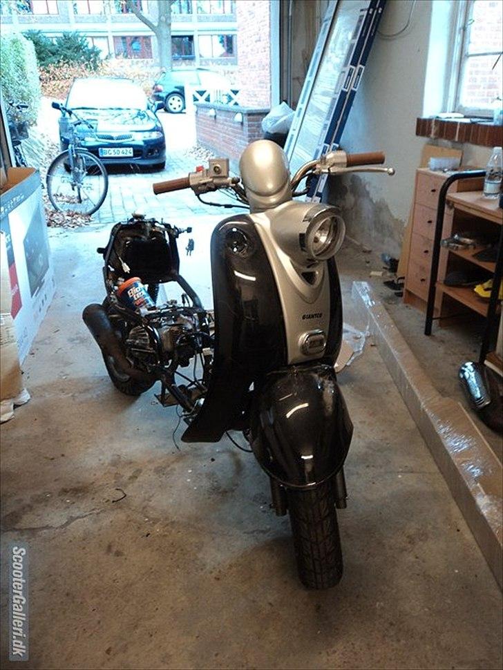 Giantco venus 1 billede 10