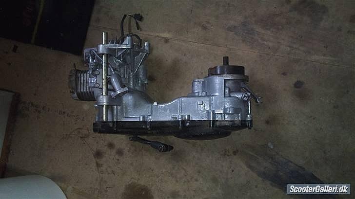 Giantco venus 1 billede 11