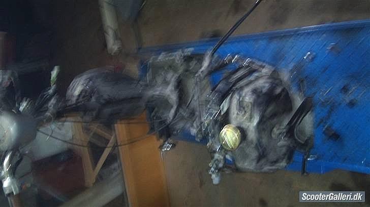 Giantco venus 1 billede 12