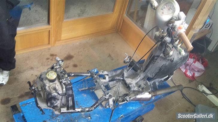 Giantco venus 1 billede 13