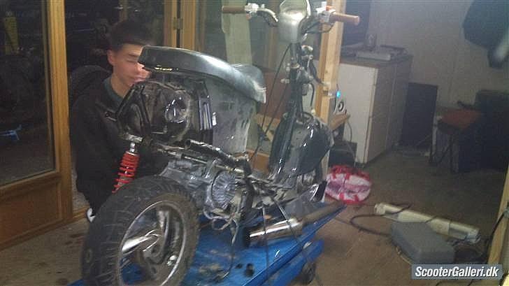 Giantco venus 1 billede 14