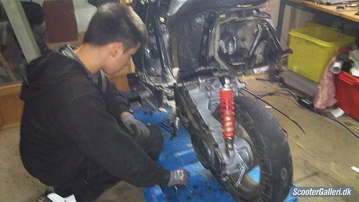 Giantco venus 1 billede 15