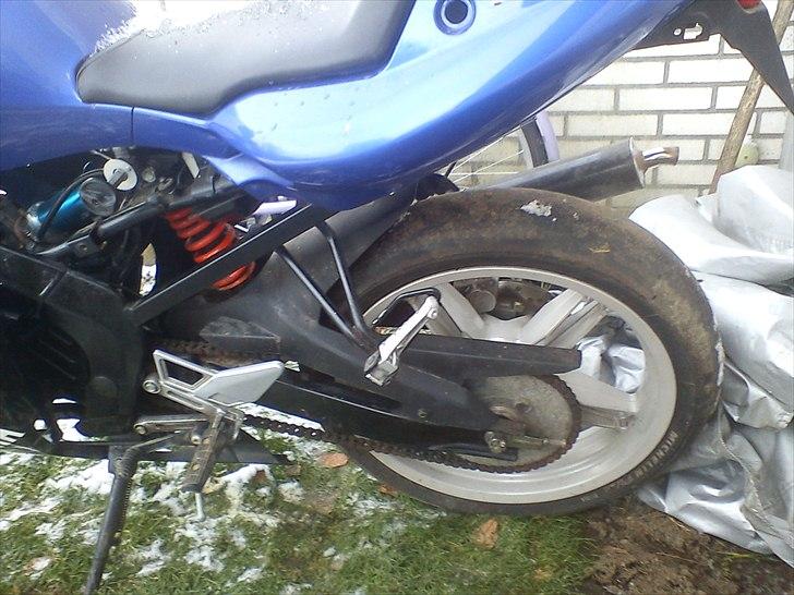 Yamaha tzr  billede 3