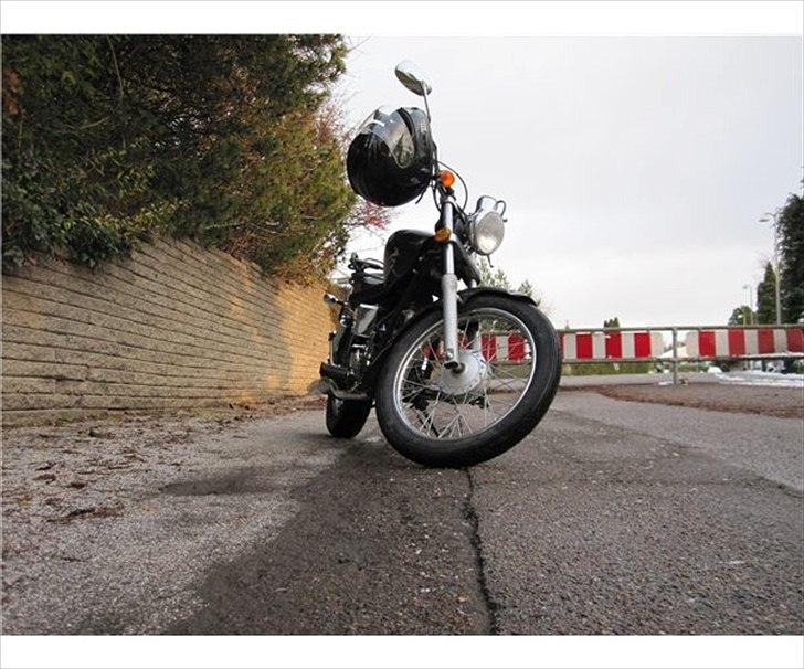 Regal Raptor  TIL SALG!!  billede 1