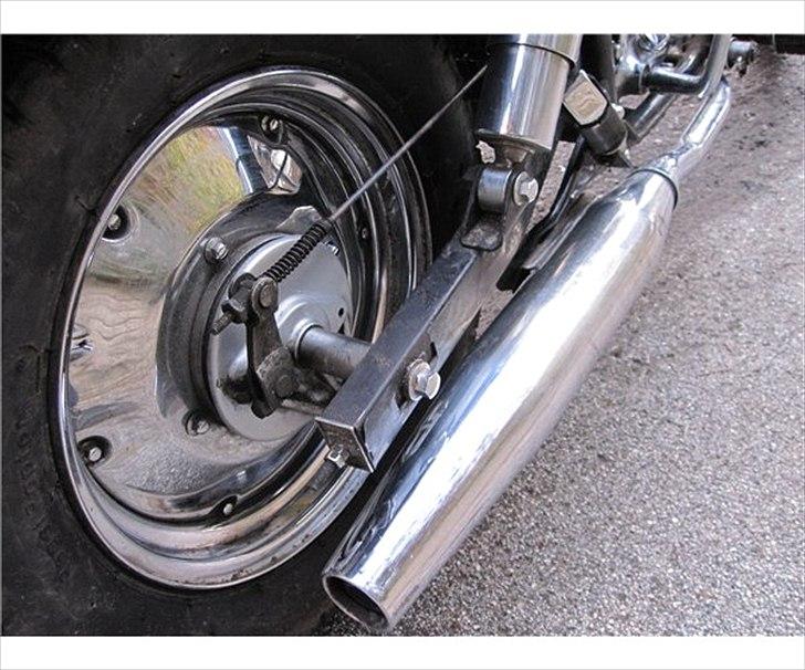 Regal Raptor  TIL SALG!!  billede 4