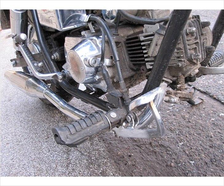 Regal Raptor  TIL SALG!!  billede 5