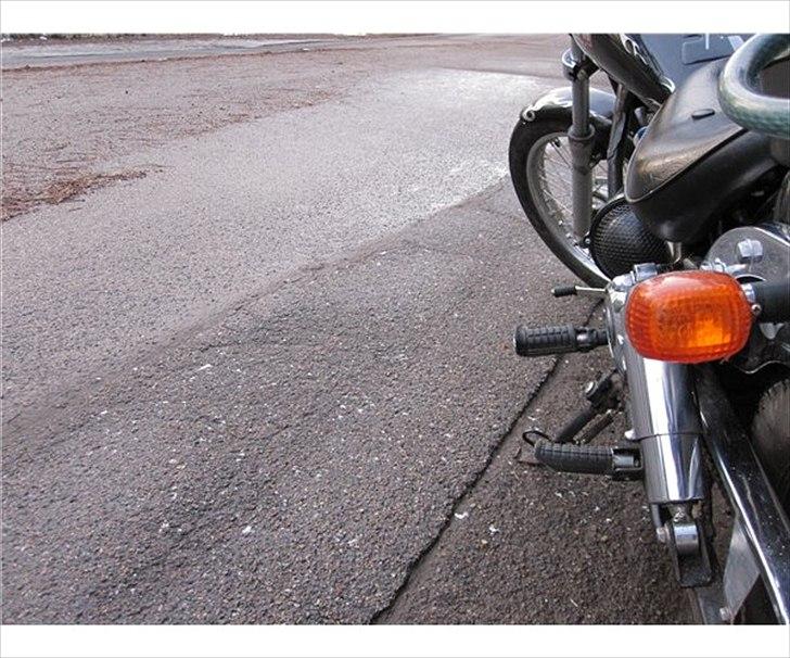 Regal Raptor  TIL SALG!!  billede 7