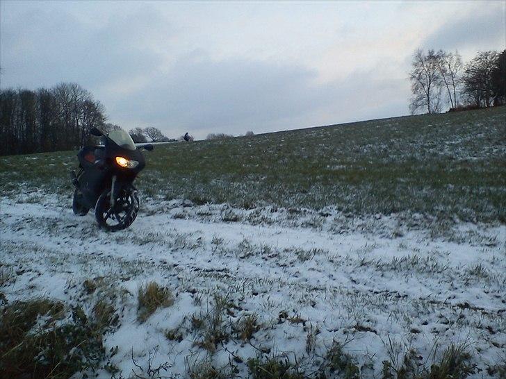 Aprilia RS50 LC DD *solgt* billede 9