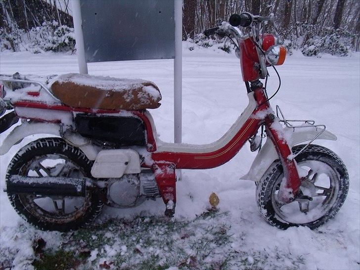 Suzuki fz 50 (solgt) 700 kr - Har et nyt sæde til den/er lige komme hjem med den og er solgt dagen efter derfor sneen på knallert billede 1