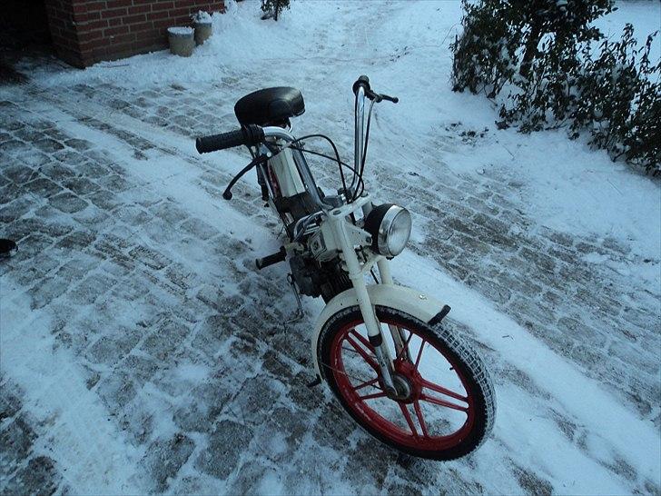 Puch maxi P1L SOLGT billede 12