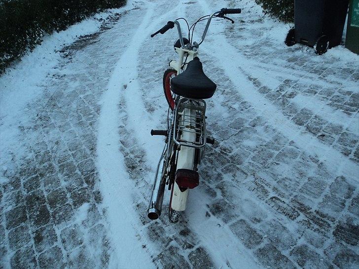 Puch maxi P1L SOLGT billede 15