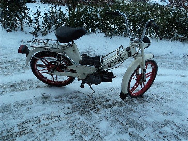 Puch maxi P1L SOLGT billede 17