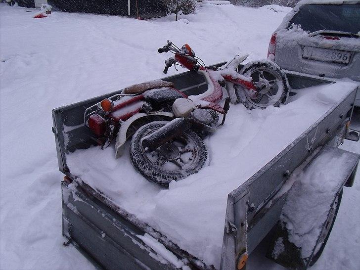 Suzuki fz 50 (solgt) 700 kr billede 18