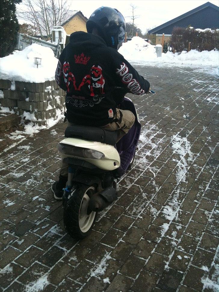 Gilera Stalker  billede 18