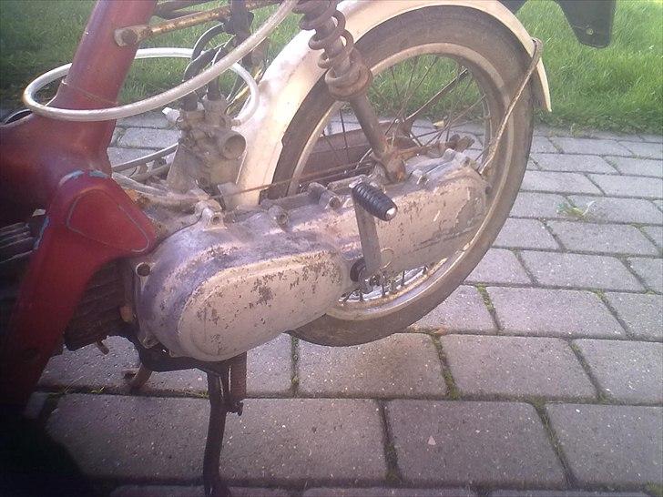 Honda express AKA guld grete! : billede 6