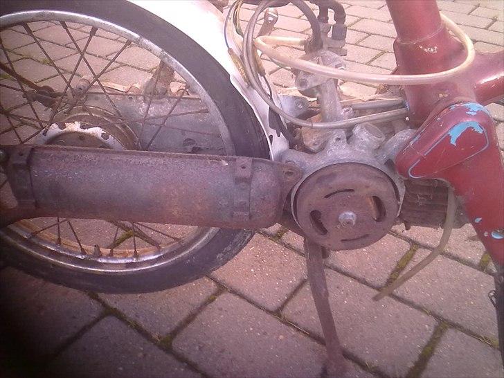 Honda express AKA guld grete! : billede 7