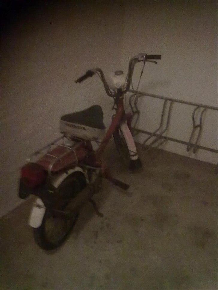 Honda express AKA guld grete! : billede 9