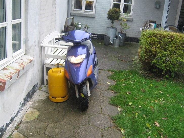 Honda Sfx  SOLGT! billede 2