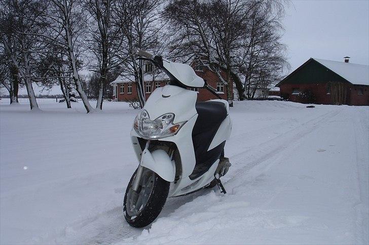 Yamaha Jog R billede 16