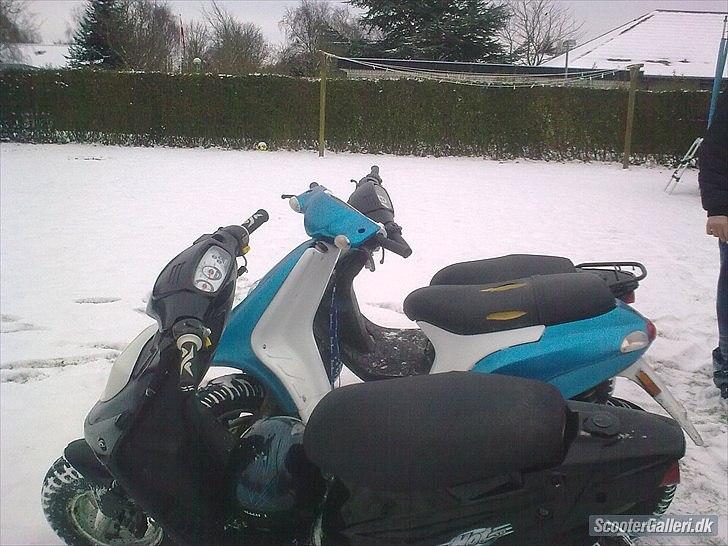 PGO Hot 50 billede 4