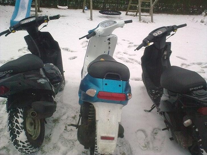 Piaggio typhoon (totalt skadet) billede 10