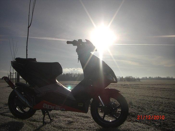 Aprilia SR50 New Factory R billede 1